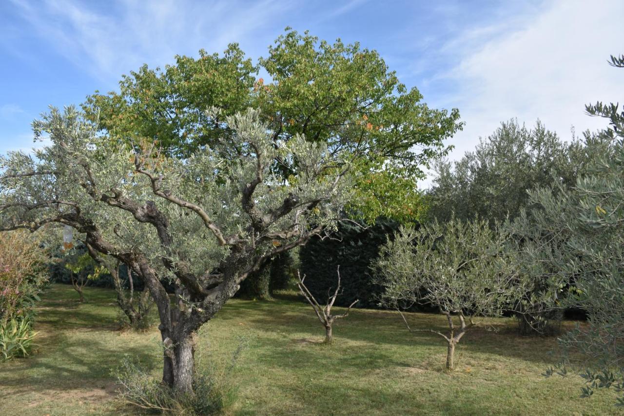 Aux Reves Des Mees Villa Les Mees Luaran gambar